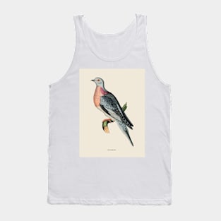 Pigeon Antique Naturalist Illustration Tank Top